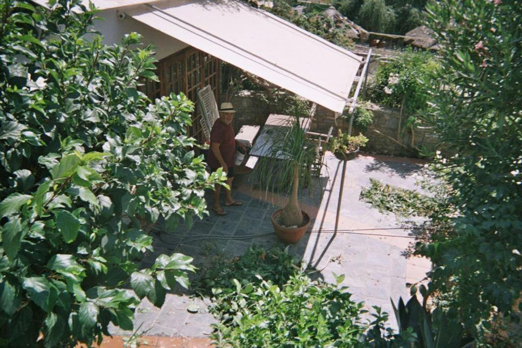 Roditses Beach Sea Front Apartments Samos Town Luaran gambar