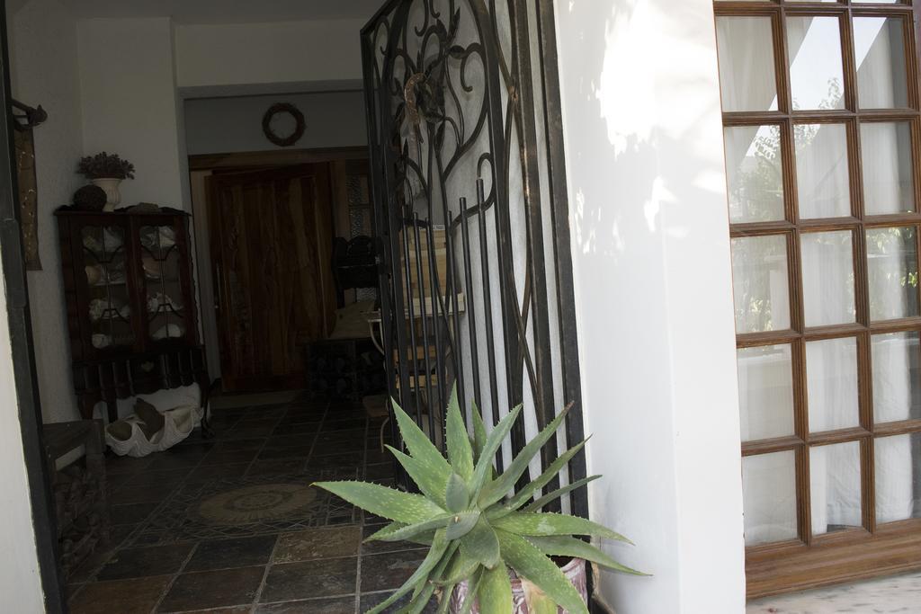 Roditses Beach Sea Front Apartments Samos Town Luaran gambar