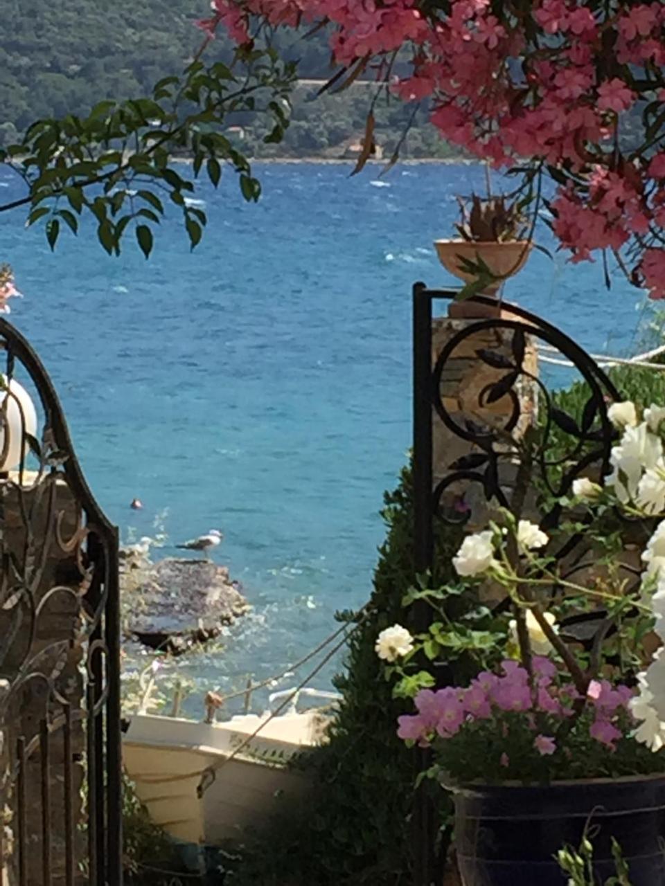Roditses Beach Sea Front Apartments Samos Town Luaran gambar