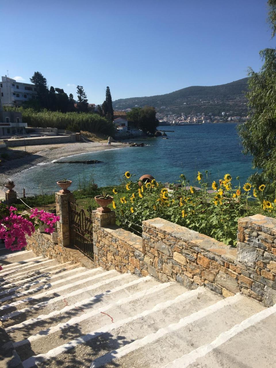 Roditses Beach Sea Front Apartments Samos Town Luaran gambar