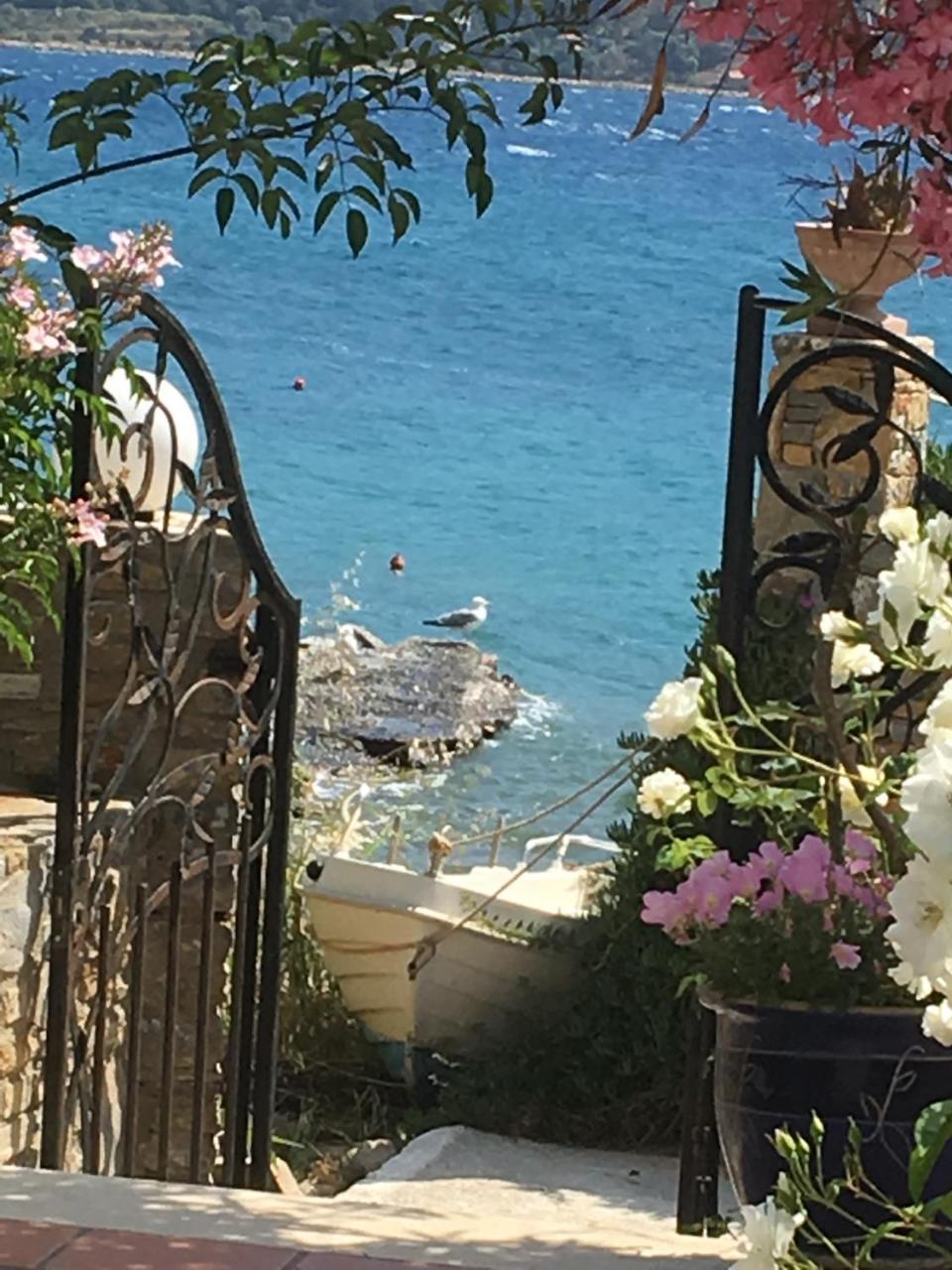 Roditses Beach Sea Front Apartments Samos Town Luaran gambar