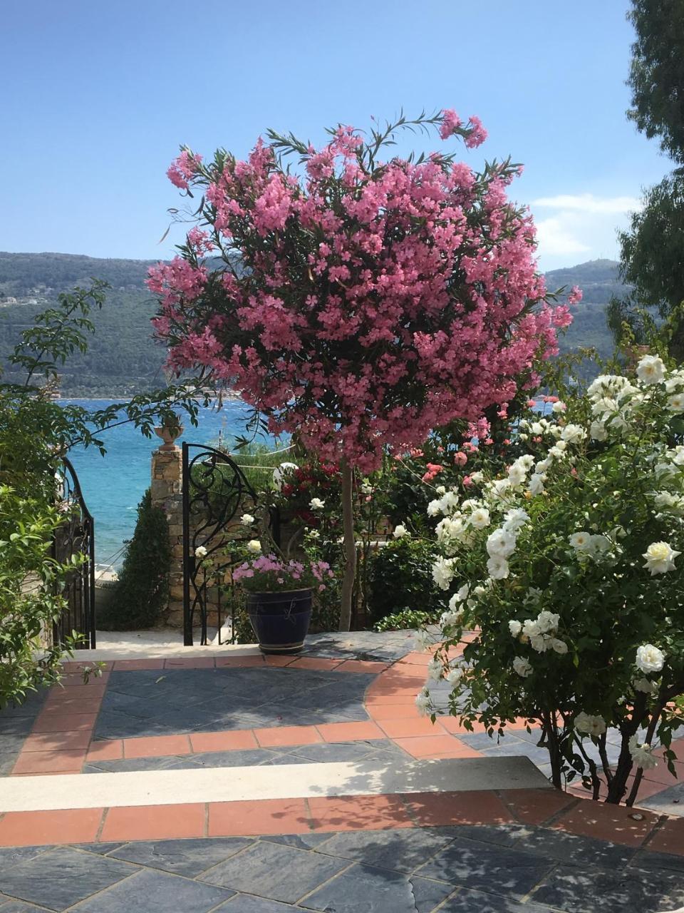 Roditses Beach Sea Front Apartments Samos Town Luaran gambar