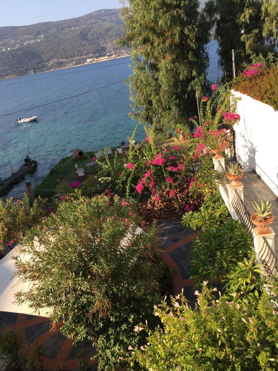 Roditses Beach Sea Front Apartments Samos Town Luaran gambar